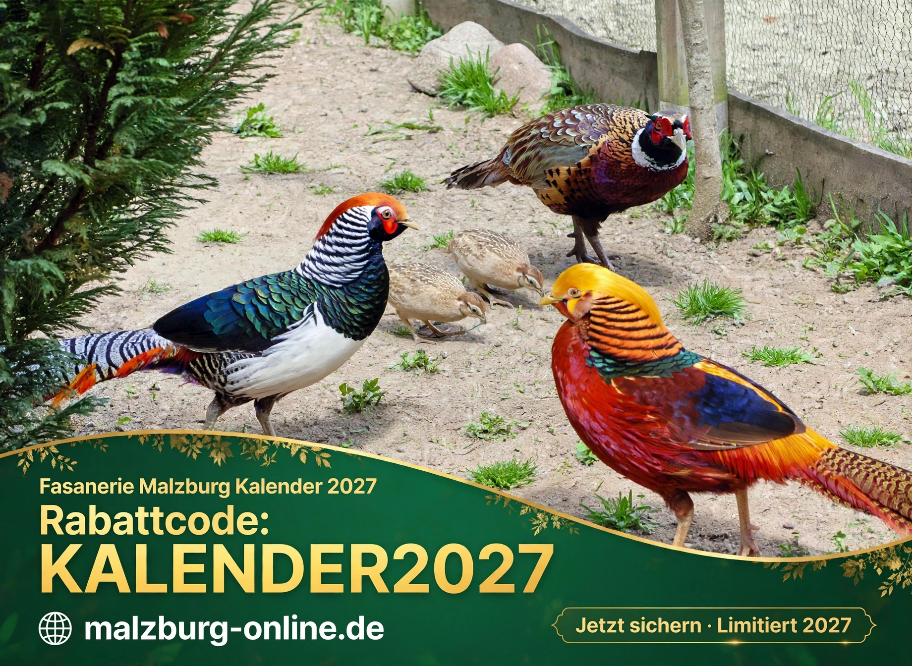 Fasanerie Malzburg Kalender 2027